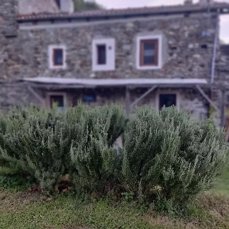 Rosemary * Settimo Vittone